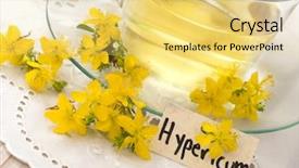  Presentation with pope john paul ii - Slide set having st john's wort tea background and a yellow colored foreground