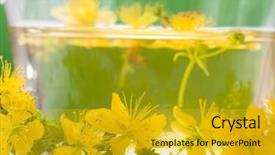  Presentation with john locke - Colorful presentation theme enhanced with sees the inscription cyber crime backdrop and a light blue colored foreground.