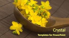  Presentation with john the baptist - Slide deck having st john's wort background and a tawny brown colored foreground