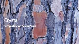  Presentation with close up of bark - Theme consisting of wooden bark background close-up background and a ocean colored foreground