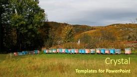  Presentation with wooden - Presentation design consisting of wooden-beehive-and-bees-plenty background and a tawny brown colored foreground