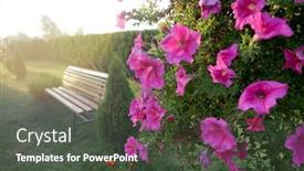  Presentation with botanical - Beautiful slides featuring wooden bench and flower bush in botanical garden backdrop and a dark gray colored foreground