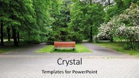  Presentation with park night city - Cool new PPT theme with wooden bench in a city backdrop and a lemonade colored foreground