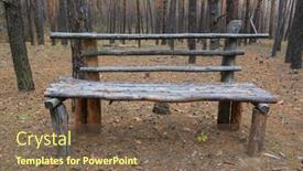  Presentation with pine forest - Audience pleasing theme consisting of wooden-bench-in-pine-forest backdrop and a violet colored foreground
