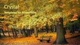  Presentation with oak tree - Beautiful PPT theme featuring wooden bench under autumn oak tree backdrop and a tawny brown colored foreground