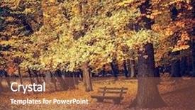  Presentation with oak tree - Cool new slides with wooden bench under autumn oak tree backdrop and a red colored foreground