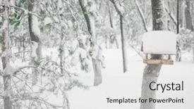  Presentation with winter landscape winter tree - Colorful PPT layouts enhanced with wooden bird feeder on tree backdrop and a white colored foreground