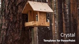  Presentation with house forest - Slides with wooden-bird-house-in-autumn background and a wine colored foreground