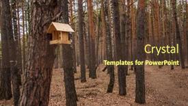  Presentation with house forest - Amazing slide deck having wooden-bird-house-in-autumn backdrop and a tawny brown colored foreground