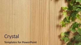  Presentation with ivy - Audience pleasing PPT layouts consisting of wooden board covered in ivy backdrop and a  colored foreground