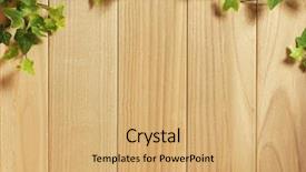  Presentation with ivy - Audience pleasing theme consisting of wooden board covered in ivy backdrop and a coral colored foreground