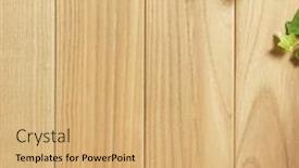  Presentation with ivy - Cool new PPT theme with wooden board covered in ivy backdrop and a coral colored foreground