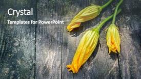  Presentation with vegetable gardening - Audience pleasing PPT theme consisting of wooden board in rustic style backdrop and a dark gray colored foreground