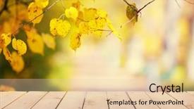  Presentation with autumn - Amazing PPT layouts having wooden board on autumn park backdrop and a  colored foreground