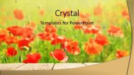  Presentation with poppies - PPT layouts featuring wooden board on poppies field background background and a yellow colored foreground