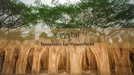  Presentation with forest - Cool new presentation with wooden-boards-with-forest backdrop and a gold colored foreground