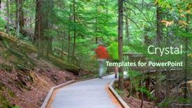  Presentation with forest - Cool new presentation design with wooden-boardwalk-in-the-forest backdrop and a tawny brown colored foreground