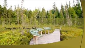  Presentation with trail - Amazing presentation having wooden-boardwalk-trail-though backdrop and a gold colored foreground