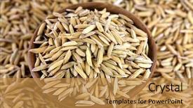  Presentation with organic rice - Audience pleasing slides consisting of wooden bowl full of organic raw unhusked rough asian rice with chaff on rice background backdrop and a gold colored foreground
