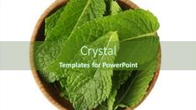  Presentation with mint - 