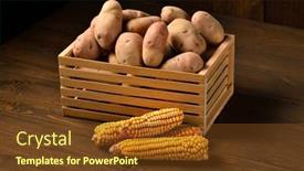 Presentation with corn cobs - Presentation theme featuring wooden-box-full-of-potatoes background and a tawny brown colored foreground