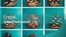  Presentation with pine - Amazing theme having wooden-box-of-pine-cones backdrop and a teal colored foreground