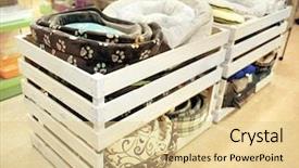  Presentation with beds - Theme enhanced with wooden boxes with animal beds background and a lemonade colored foreground