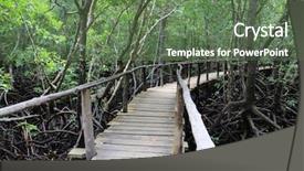  Presentation with forest bridge - Audience pleasing presentation design consisting of wooden bridge in deep forest backdrop and a ocean colored foreground