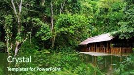  Presentation with woods - Colorful presentation enhanced with wooden cabin in the woods backdrop and a  colored foreground