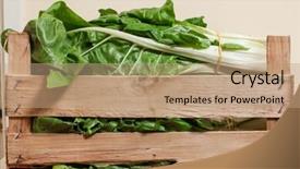  Presentation with swiss chard - Audience pleasing presentation theme consisting of wooden case with swiss chard backdrop and a  colored foreground