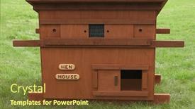  Presentation with chicken - PPT theme enhanced with wooden-chicken-house-standing background and a tawny brown colored foreground