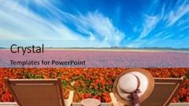  Presentation with recreation - Slide set having wooden comfortable chairs next to the flower field the concept of recreation and eco-tourism straw hat hanging on a deck chair the spring sun background and a light blue colored foreground