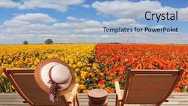  Presentation with flower elegant - Presentation consisting of wooden comfortable sun loungers next to the flower field the concept of recreation and eco-tourism elegant women's straw hat hanging on a deck chair background and a light blue colored foreground