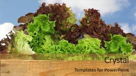  Presentation with blue sky - PPT layouts with wooden crate against a blue background and a gold colored foreground