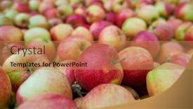  Presentation with orchard - Beautiful presentation featuring wooden-crate-full-of-fresh backdrop and a coral colored foreground