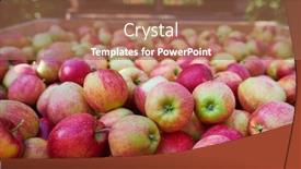  Presentation with orchard - Beautiful PPT theme featuring wooden-crate-full-of-fresh backdrop and a coral colored foreground