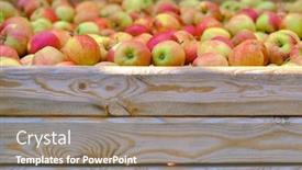  Presentation with orchard - Presentation theme enhanced with wooden-crate-full-of-fresh background and a gray colored foreground
