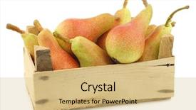  Presentation with colorful fancy carp fish koi - Presentation theme with wooden crate on a white background and a coral colored foreground