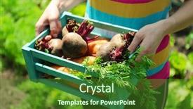  Presentation with hands holding - Audience pleasing presentation design consisting of wooden crate with fresh new backdrop and a forest green colored foreground