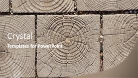  Presentation with pavement - Colorful PPT theme enhanced with wooden cross section texture pavement blocks natural beige and brown background backdrop and a gray colored foreground