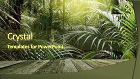  Presentation with wood - Cool new slide set with wooden deck in tropical forest backdrop and a tawny brown colored foreground
