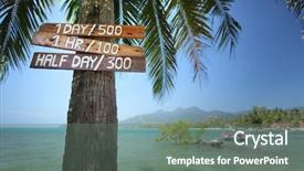  Presentation with price - PPT theme consisting of wooden desk boards with price hanging on the palm tree background and a gray colored foreground
