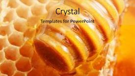  Presentation with honeycomb - Beautiful presentation featuring wooden dipper honey and honeycomb backdrop and a yellow colored foreground