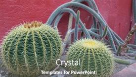  Presentation with wooden - Slide deck having wooden-door-and-lots background and a gray colored foreground