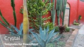  Presentation with wooden - Presentation with wooden-door-and-lots background and a seafoam green colored foreground