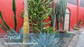  Presentation with wooden - Slide deck consisting of wooden-door-and-lots background and a  colored foreground