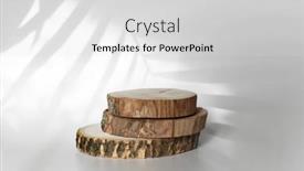  Presentation with eco - Slide set having wooden-eco-rustic-pine-tree background and a  colored foreground