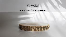  Presentation with eco - PPT theme with wooden-eco-rustic-pine-tree background and a light gray colored foreground