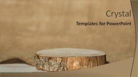  Presentation with eco - PPT theme with wooden-eco-rustic-pine-tree background and a coral colored foreground