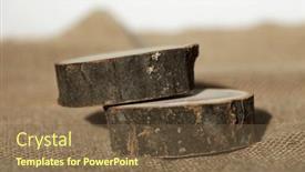  Presentation with eco - Presentation theme consisting of wooden-eco-rustic-pine-tree background and a tawny brown colored foreground